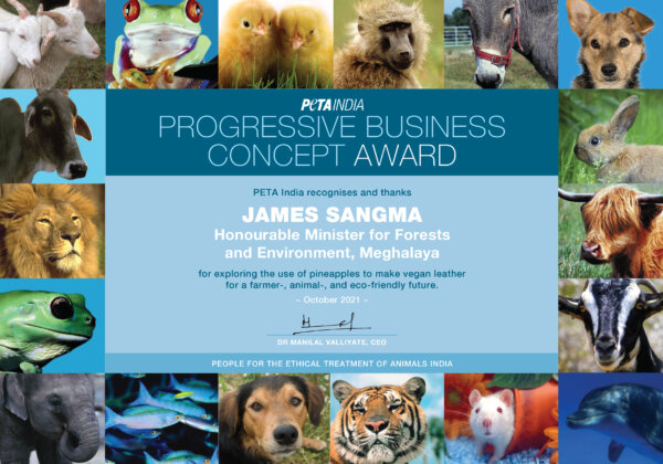 Meghalaya Environment Minister Wins PETA India Award for Pineapple-Leather Plan