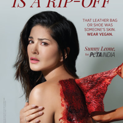Sunny Leone Is ‘Skinned’ in New PETA India Ad Launched During Lakmé Fashion Week