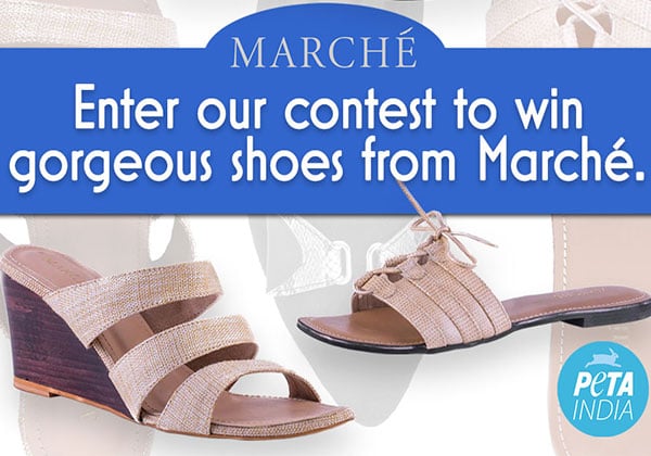CONTEST IS CLOSED: Meet Your ‘Solemate’: These Marché Vegan Shoes Could Be Yours
